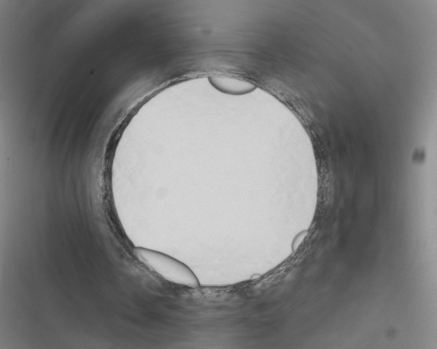 X0000116510338201001201449