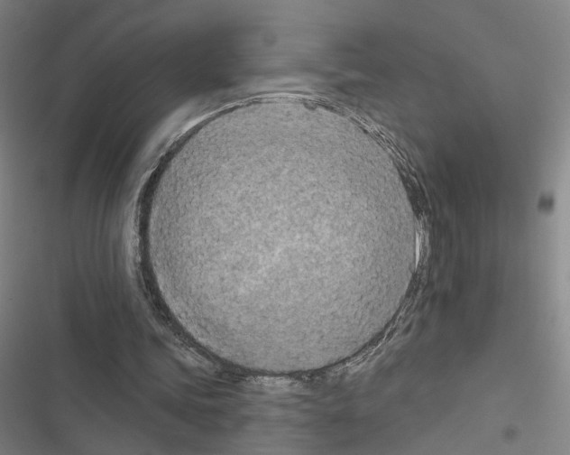 X0000116510339201001201449