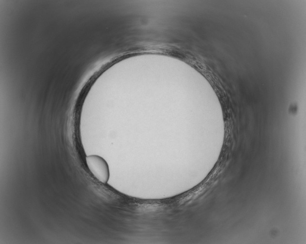 X0000116510342201001201450