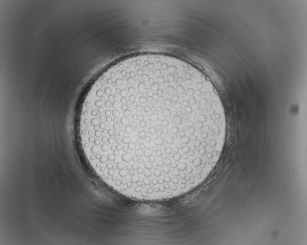 X0000116510346201001201450