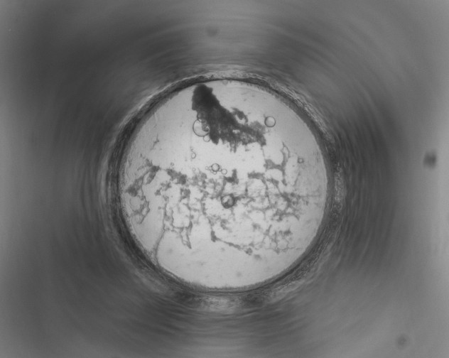 X0000116510347201001201450