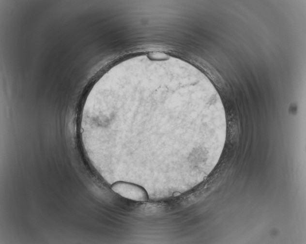X0000116510350201001201450