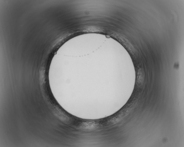 X0000116510351201001201450