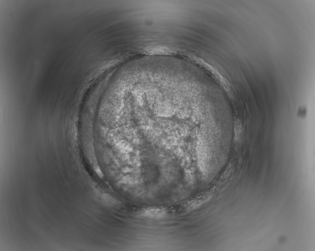 X0000116510353201001201450