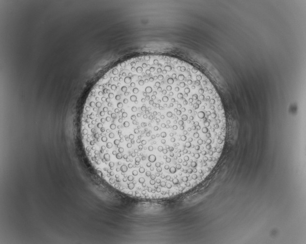 X0000116510354201001201450