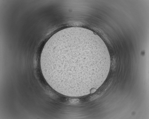 X0000116510355201001201450
