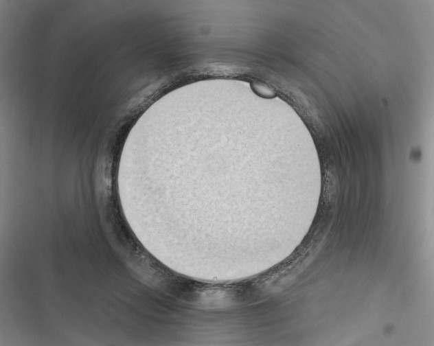 X0000116510358201001201450
