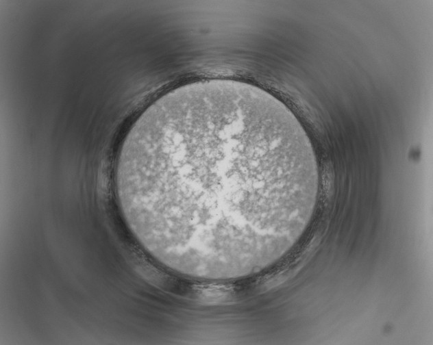 X0000116510359201001201450