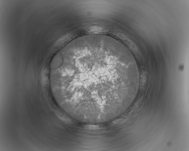 X0000116510361201001201450