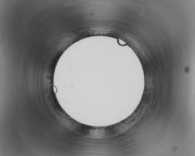 X0000116510362201001201450