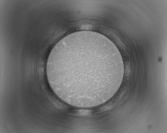 X0000116510363201001201450