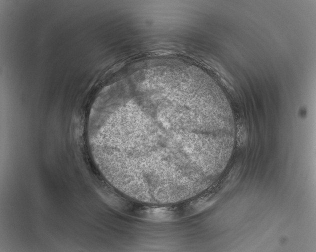 X0000116510365201001201450