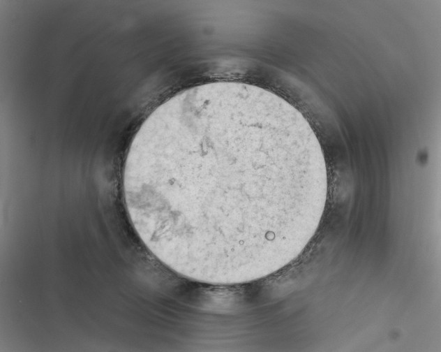 X0000116510370201001201450