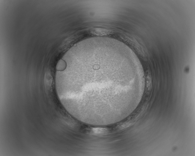 X0000116510371201001201450