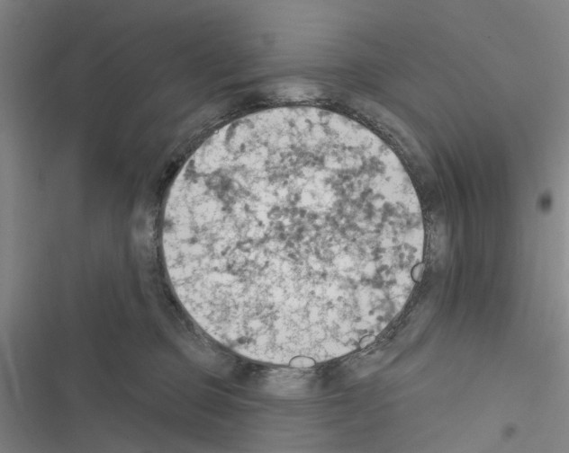 X0000116510373201001201450