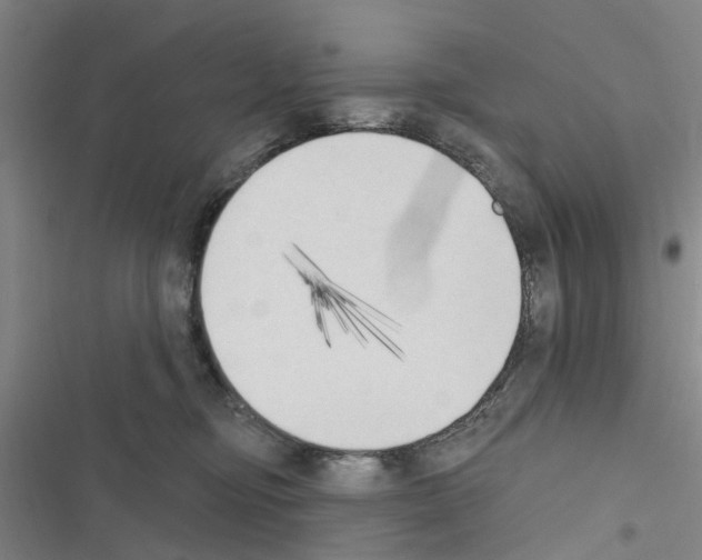 X0000116510374201001201450