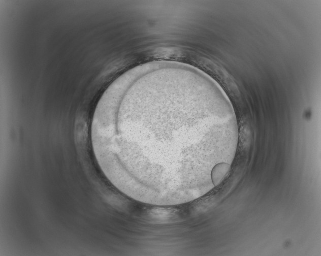 X0000116510375201001201450
