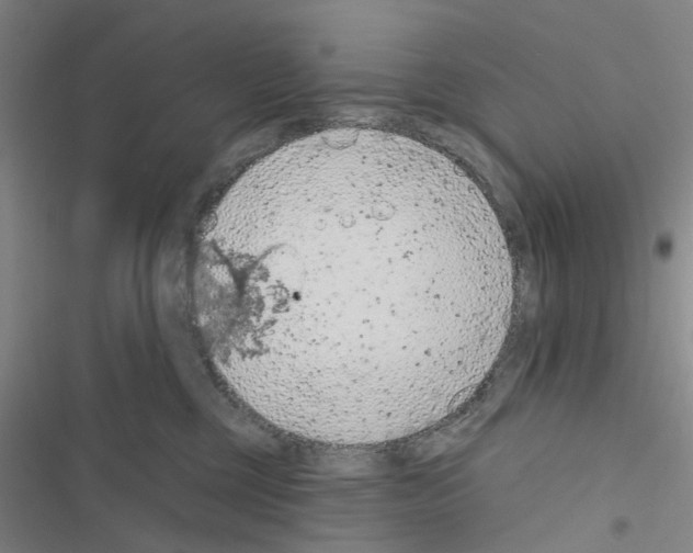 X0000116510377201001201450