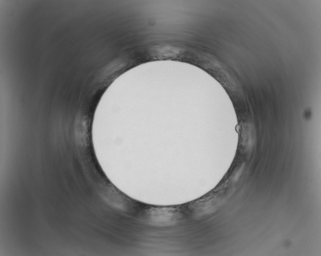 X0000116510378201001201450