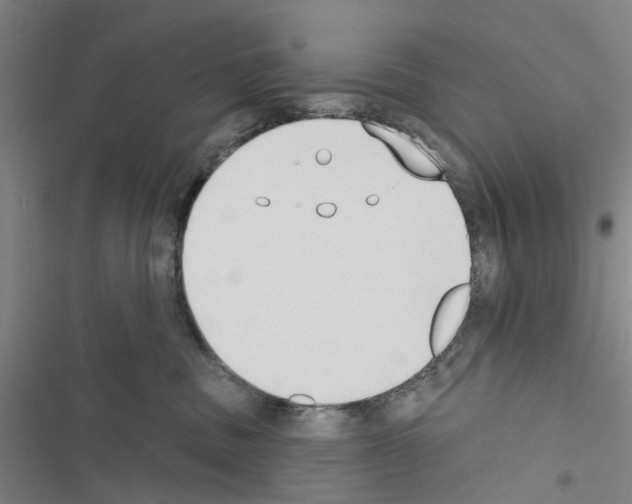 X0000116510379201001201450