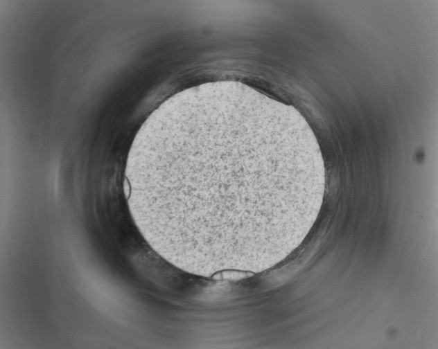 X0000116510382201001201450