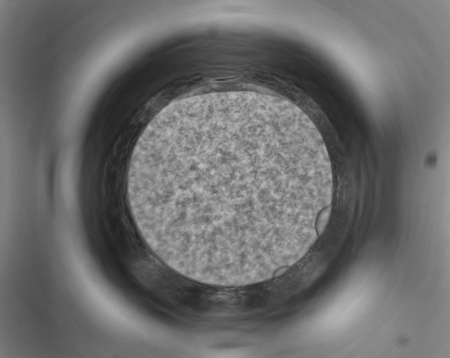 X0000116510383201001201450
