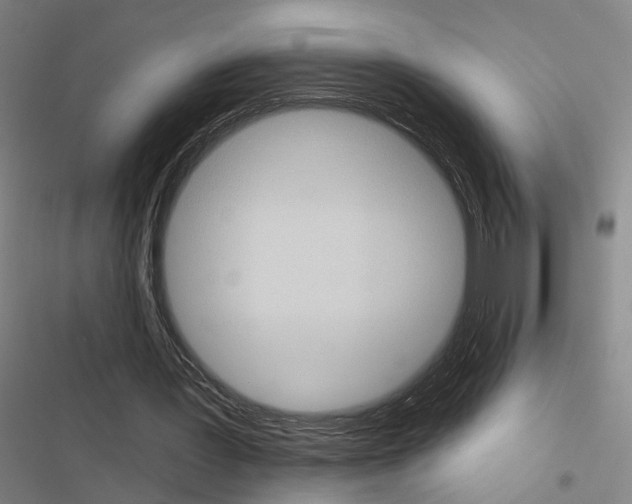 X0000116510387201001201449