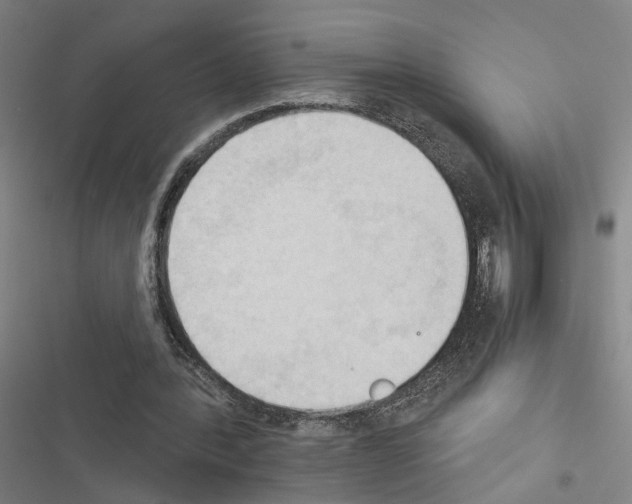 X0000116510388201001201449