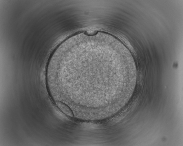 X0000116510389201001201449