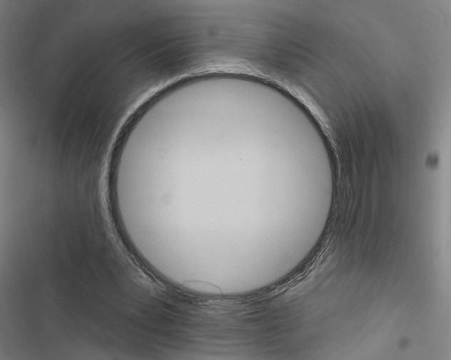 X0000116510391201001201449