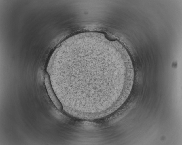 X0000116510393201001201449