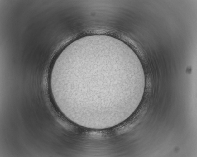 X0000116510394201001201449