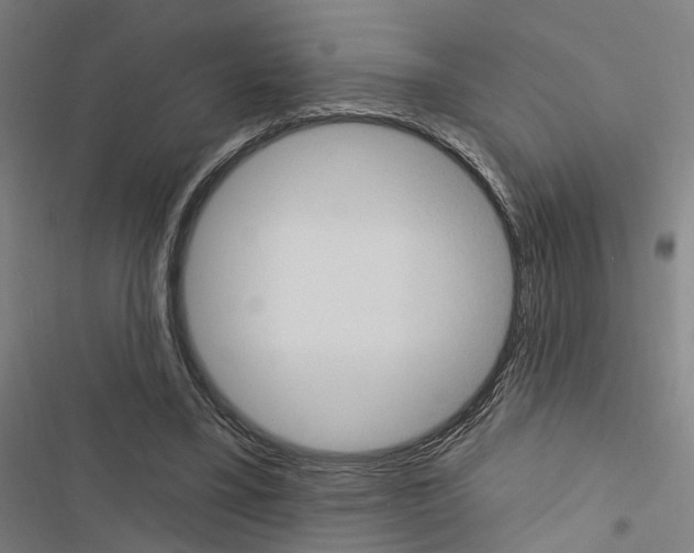 X0000116510395201001201449