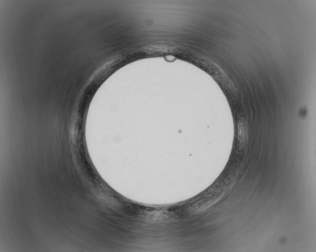X0000116510396201001201449