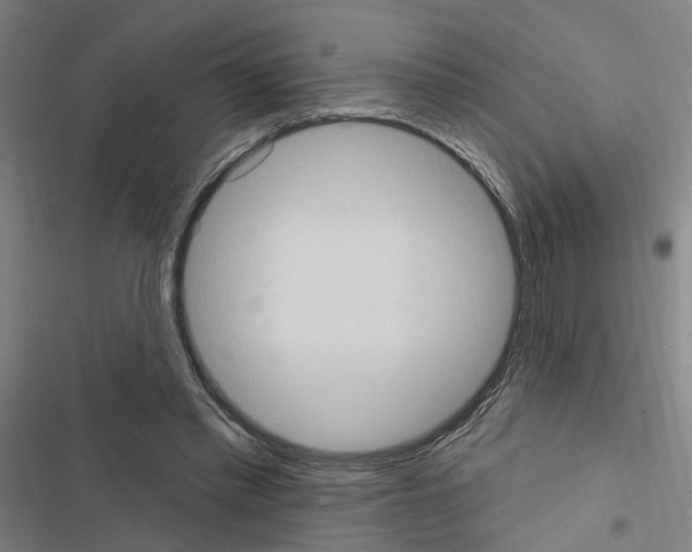X0000116510397201001201449