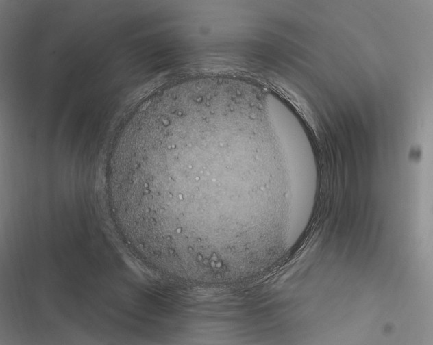 X0000116510401201001201449