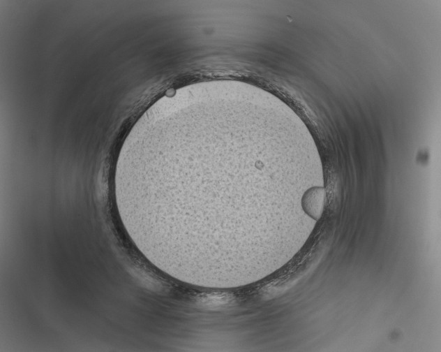 X0000116510402201001201449