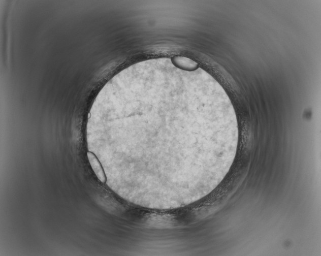 X0000116510403201001201449
