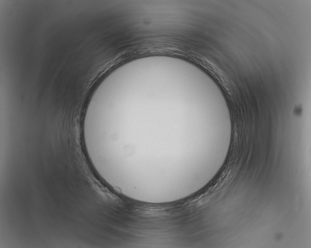 X0000116510405201001201449