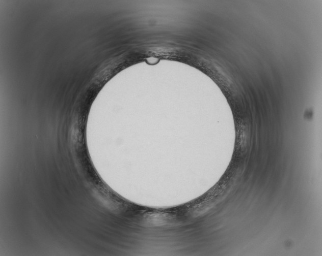 X0000116510408201001201449