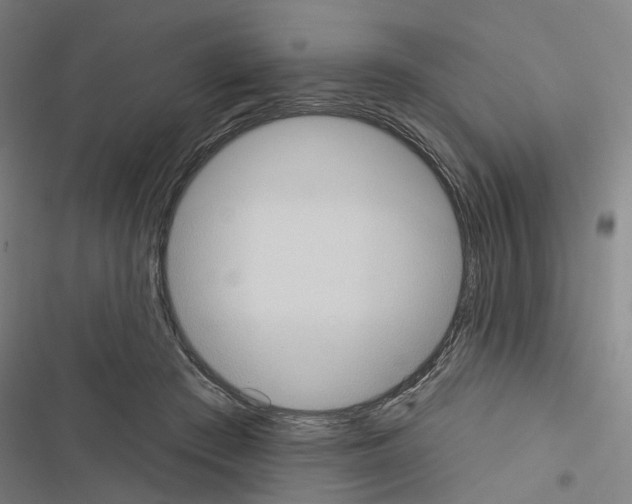 X0000116510409201001201449