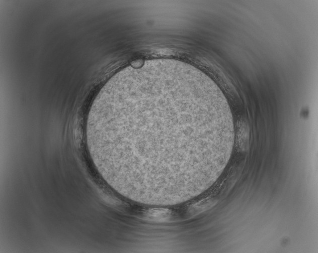 X0000116510410201001201449