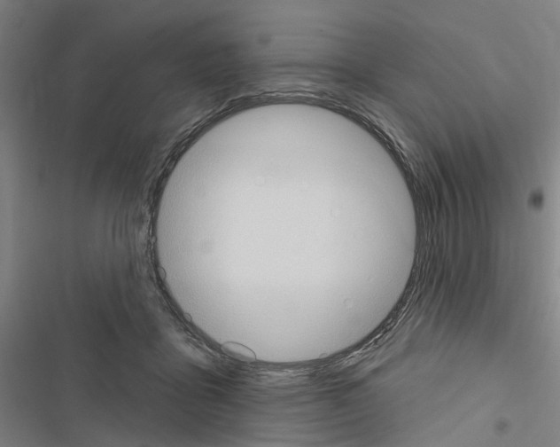 X0000116510411201001201449