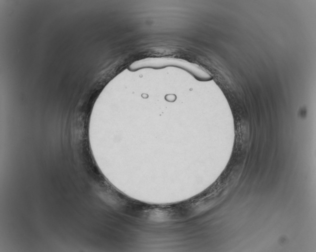 X0000116510412201001201449