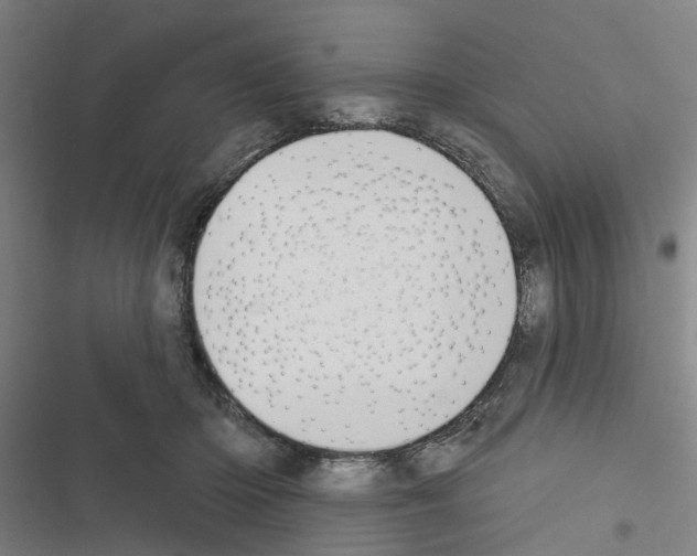 X0000116510414201001201449