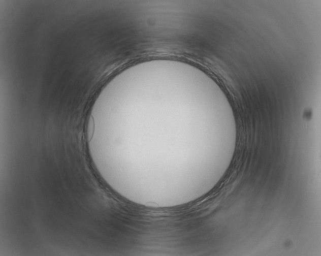 X0000116510415201001201449
