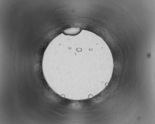 X0000116510416201001201449