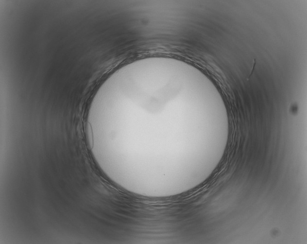 X0000116510419201001201449