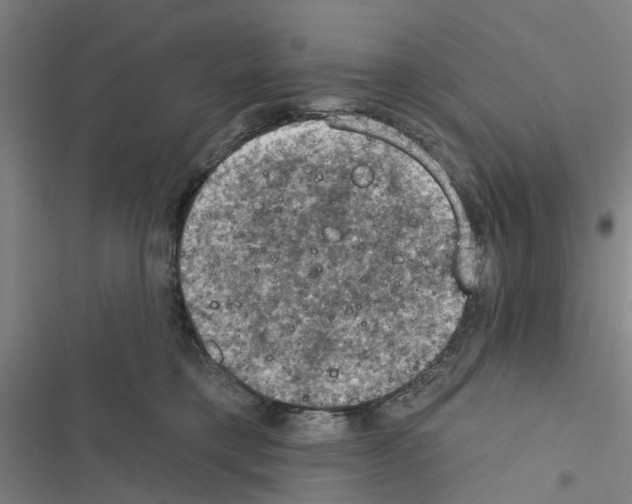 X0000116510421201001201449
