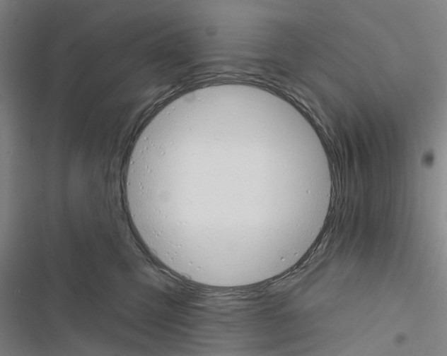 X0000116510423201001201449